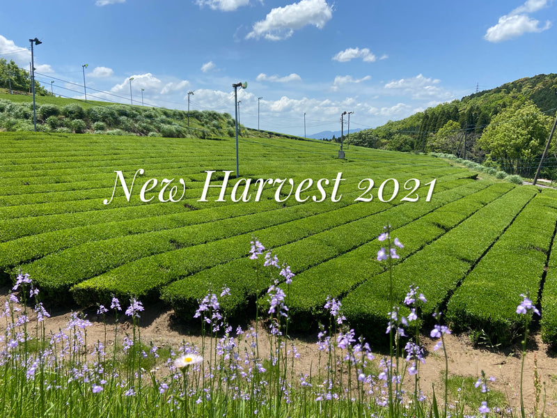 Happy New Tea Harvest 2021