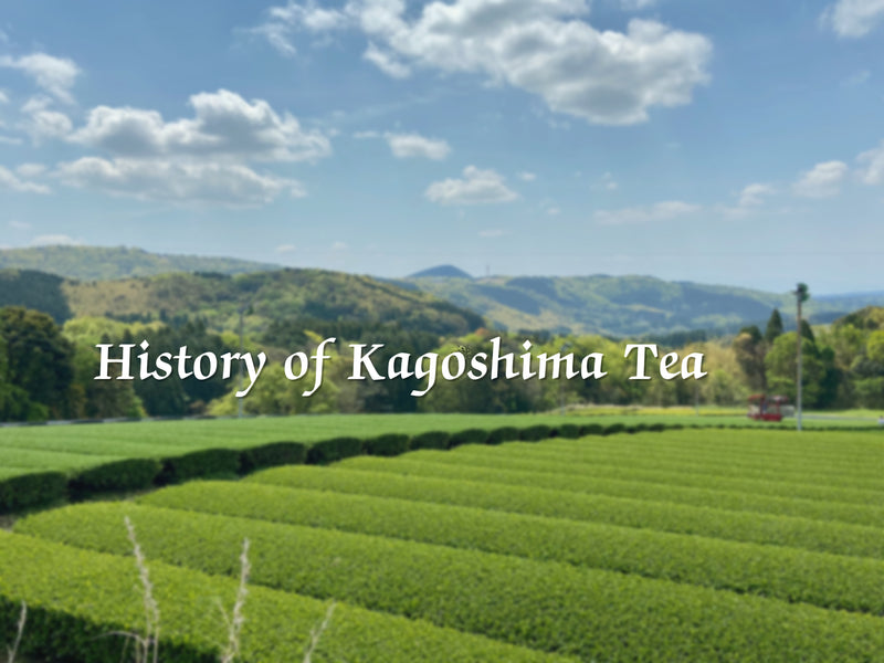 History of Kagoshima Tea